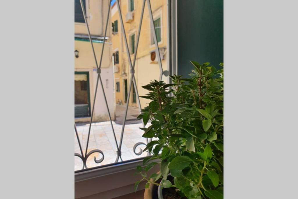 Elia Luxury Suite, Corfu Town エクステリア 写真